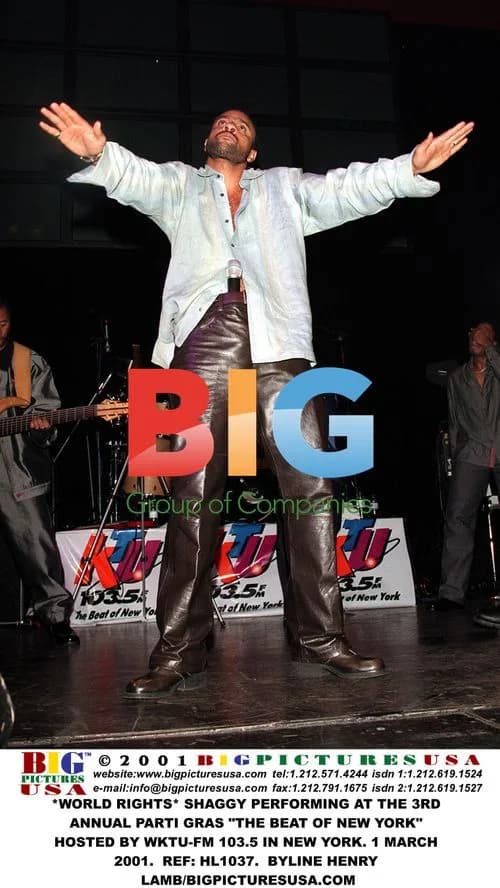 Shaggy Performing at Parti Gras