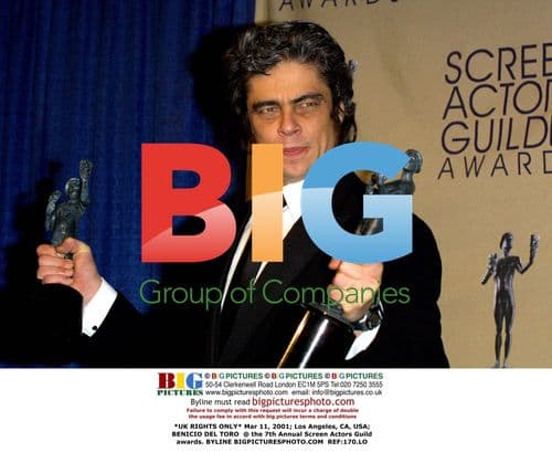 Benicio Del Toro at 7th Annual Screen Actors Guild Awards