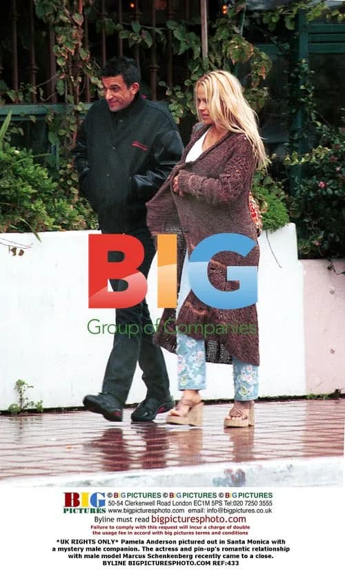 Pamela Anderson out with mystery man