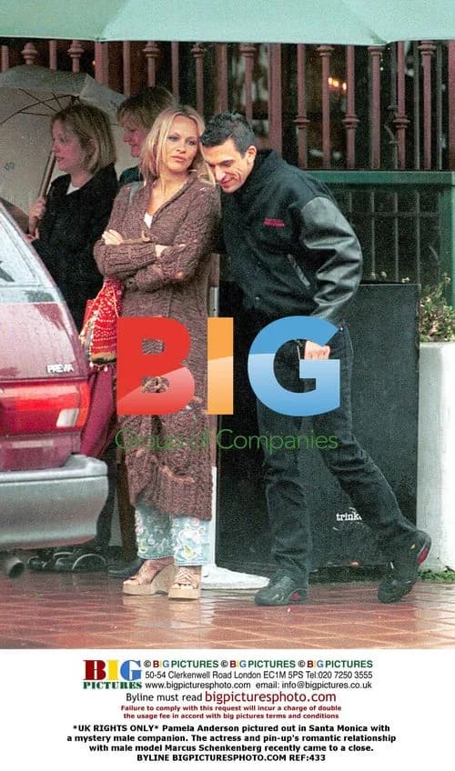 Pamela Anderson Out with Mystery Man in Santa Monica