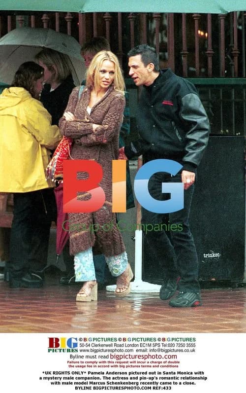Pamela Anderson Spotted with Mystery Man