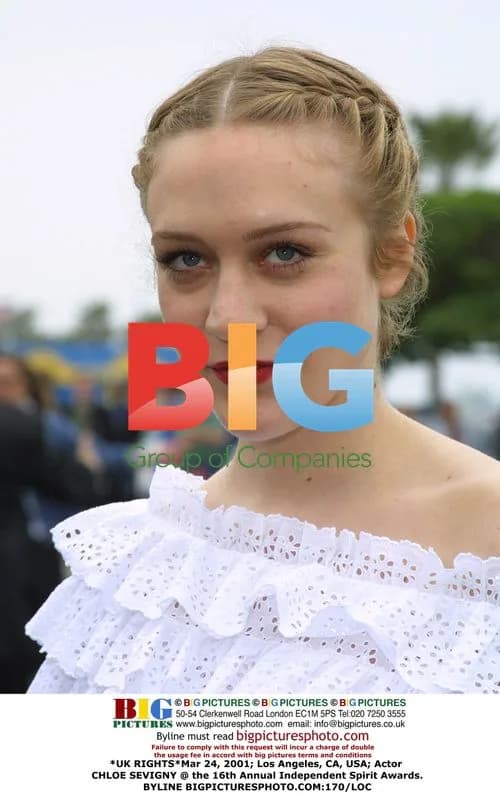Chloe Sevigny at Independent Spirit Awards