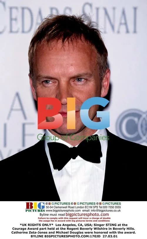 Sting at Courage Award Event
