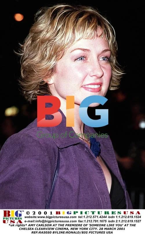 Amy Carlson at 'Someone Like You' Premiere