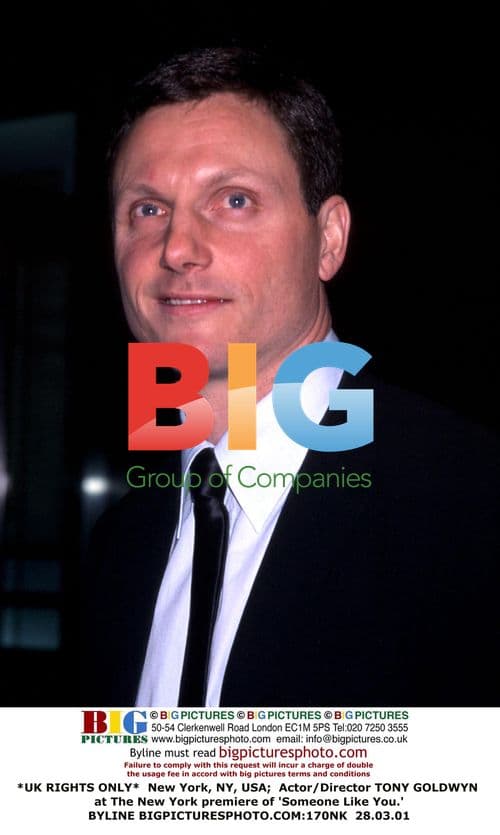 Tony Goldwyn at 'Someone Like You' Premiere