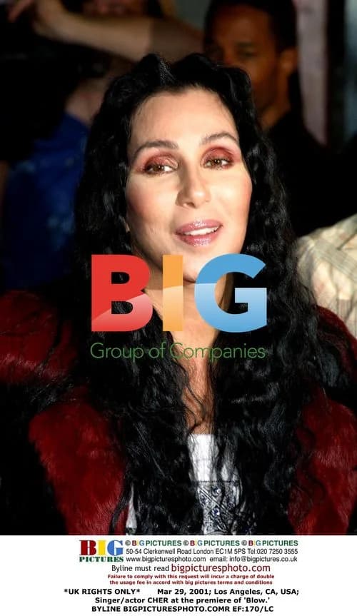 Cher at 'Blow' Premiere