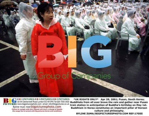 Buddhists Gather for Buddha's Birthday in Pusan, South Korea