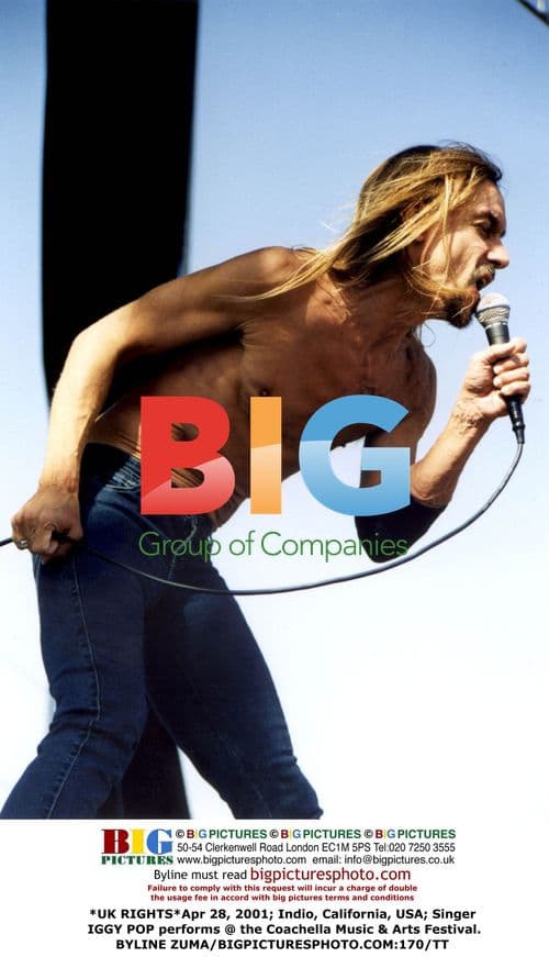 Iggy Pop performs at Coachella Festival