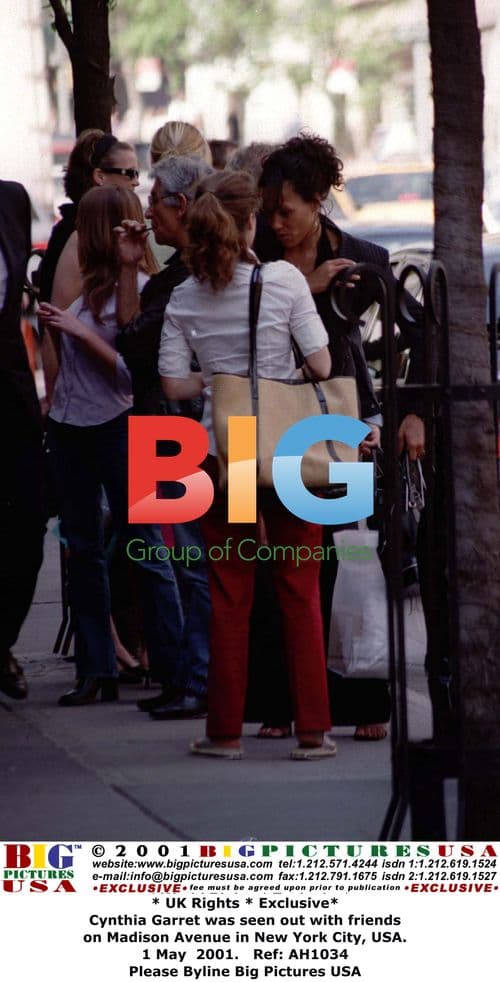 Cynthia Garret out with friends in NYC