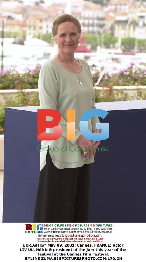 Liv Ullmann at the Cannes Film Festival