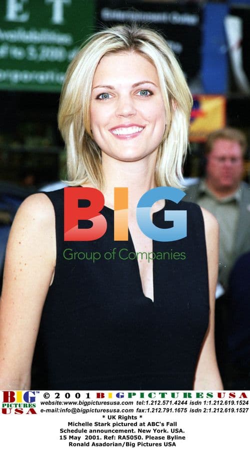 Michelle Stark at ABC Fall Schedule Event