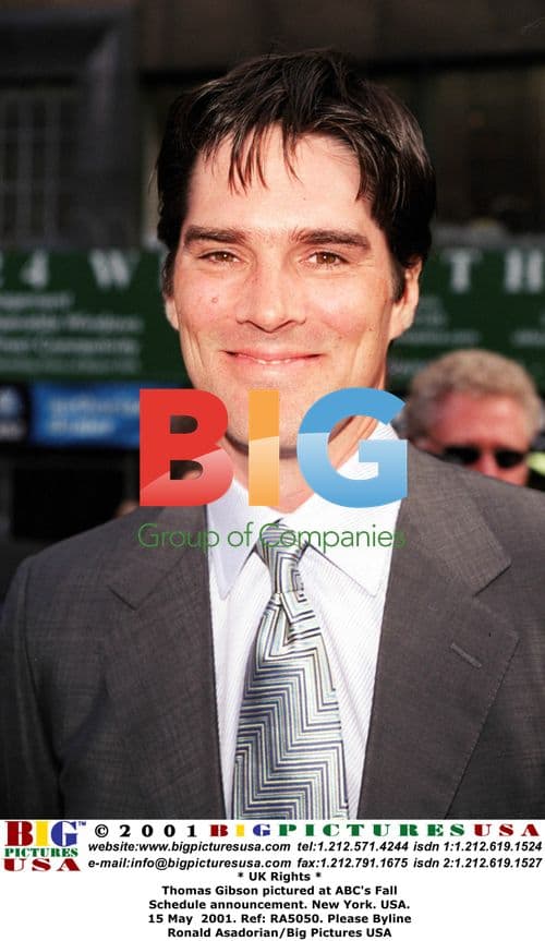 Thomas Gibson at ABC Fall Announcement
