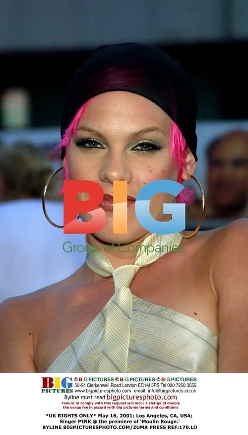 Pink at 'Moulin Rouge' Premiere