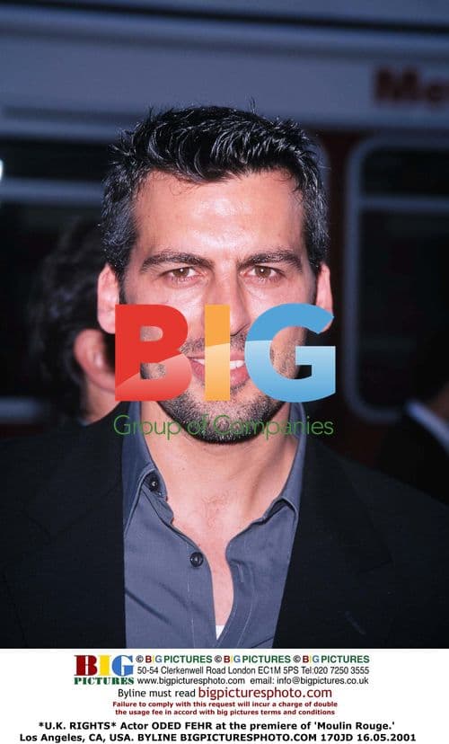 Oded Fehr at 'Moulin Rouge' premiere