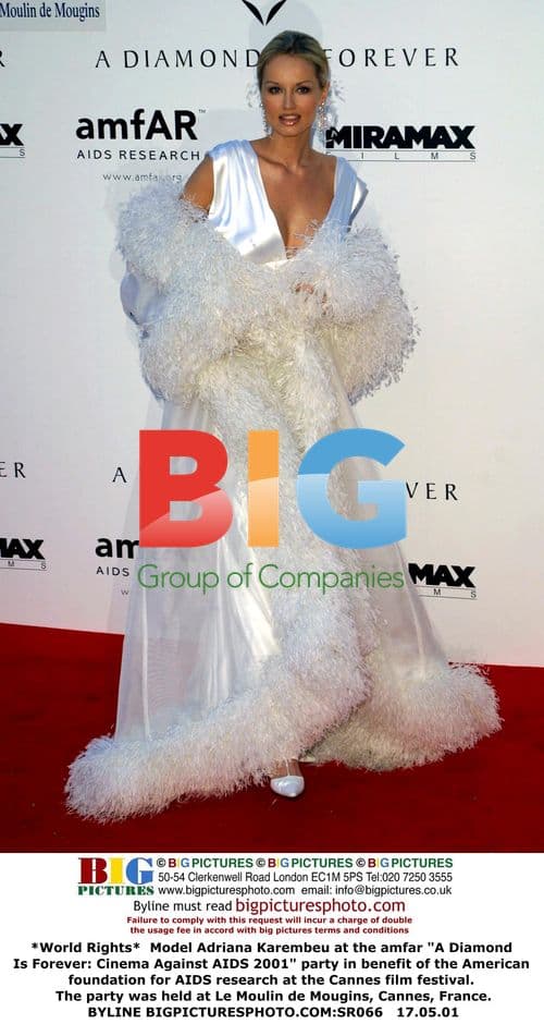 Adriana Karembeu at amfAR Cannes Party 2001