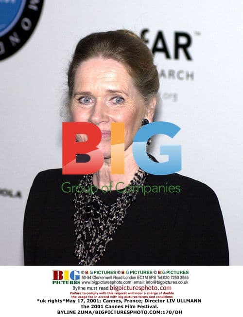 Director Liv Ullmann at 2001 Cannes Film Festival