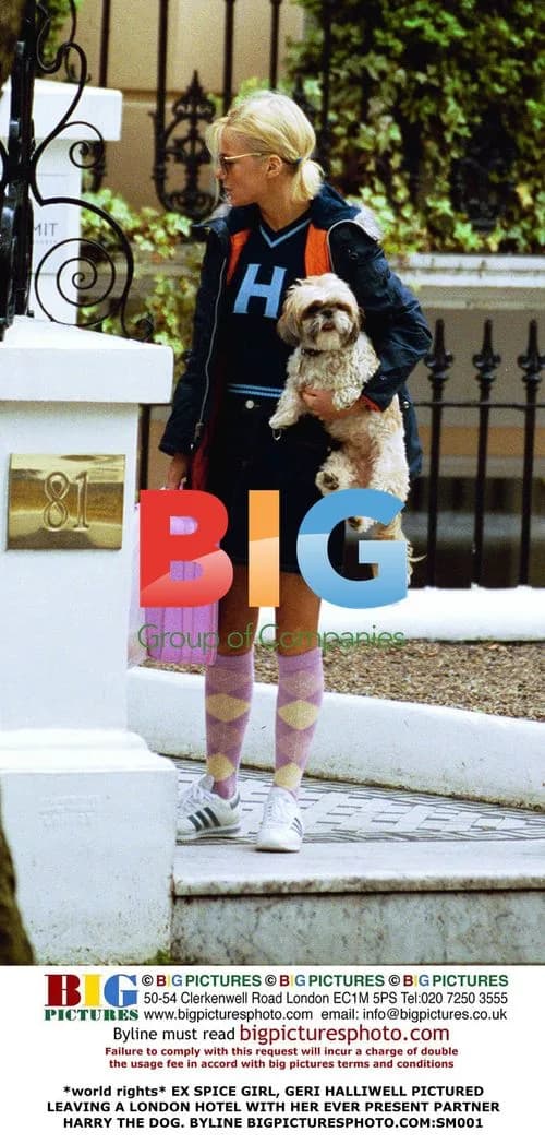 Geri Halliwell Leaving London Hotel with Harry