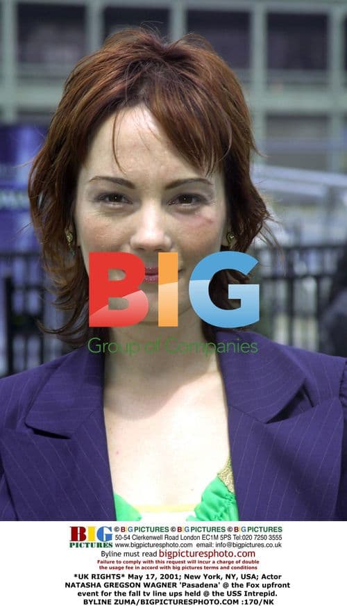 Natasha Gregson Wagner at Fox Upfront Event