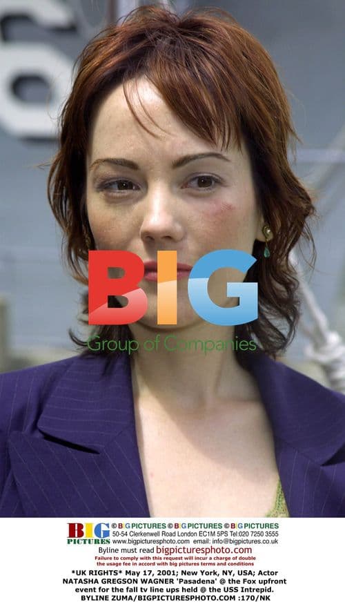 Natasha Gregson Wagner at Fox Upfront