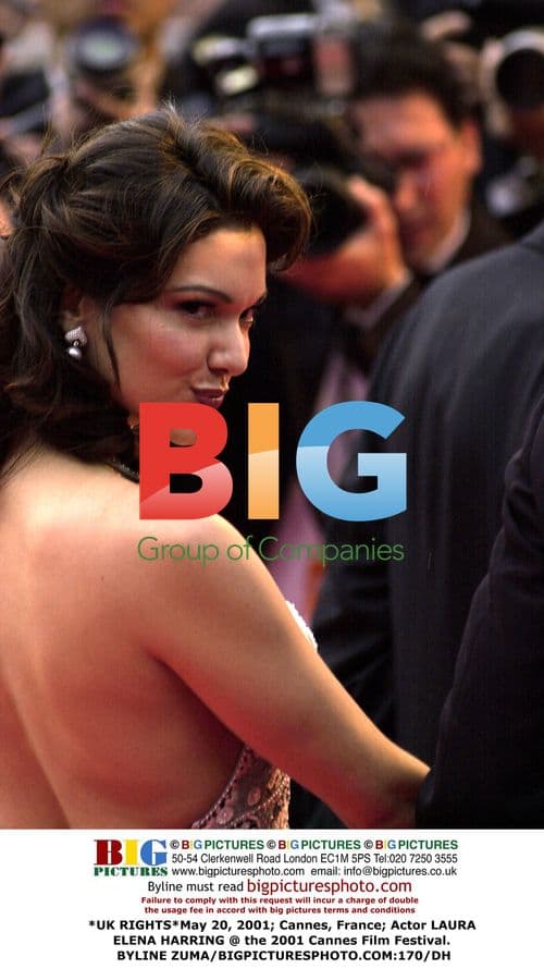 Laura Elena Harring at 2001 Cannes Film Festival