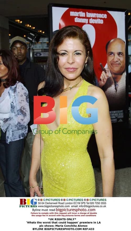 "What's the Worst That Could Happen" Premiere in LA