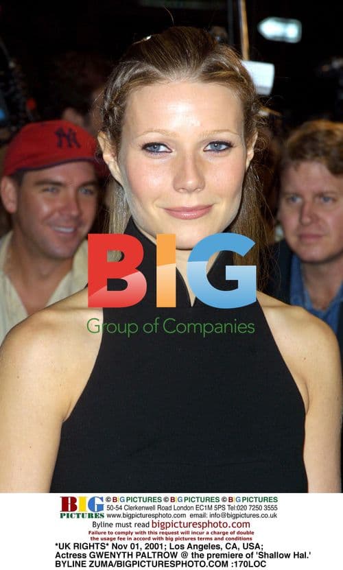 Gwenyth Paltrow @ 'Shallow Hal' premiere