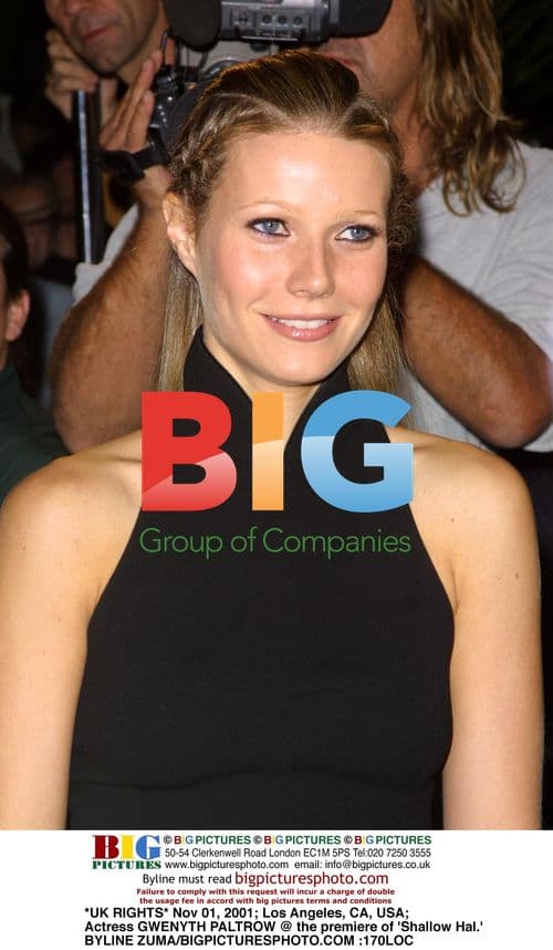 Gwenyth Paltrow at 'Shallow Hal' Premiere