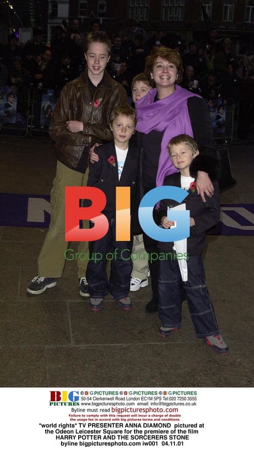 TV Presenter Anna Diamond at Harry Potter Premiere