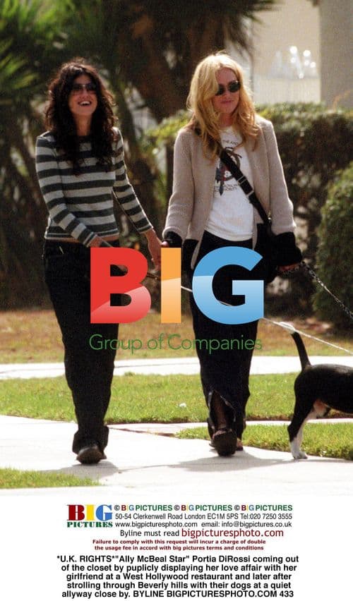 Portia DiRossi comes out at restaurant