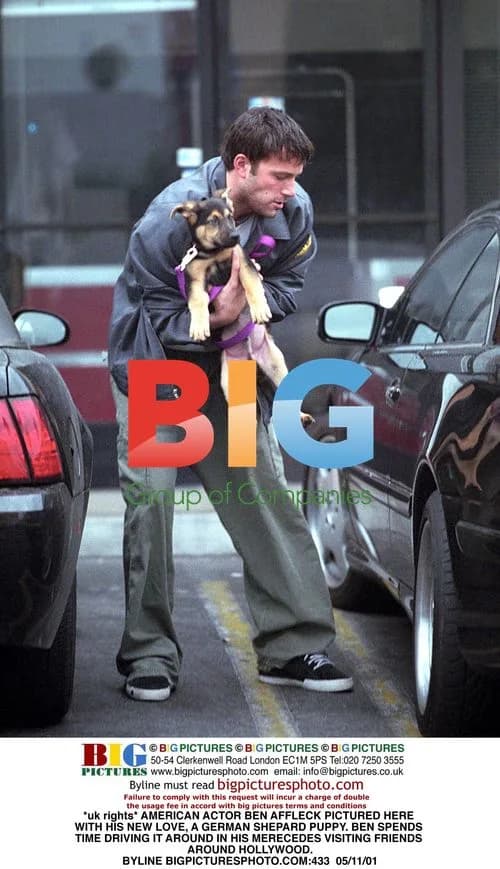 Ben Affleck with puppy in Mercedes