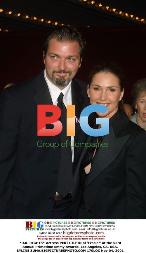 Peri Gilpin at 53rd Primetime Emmys