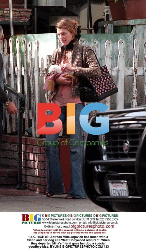 Milla Jovovich has lunch with friend and dog