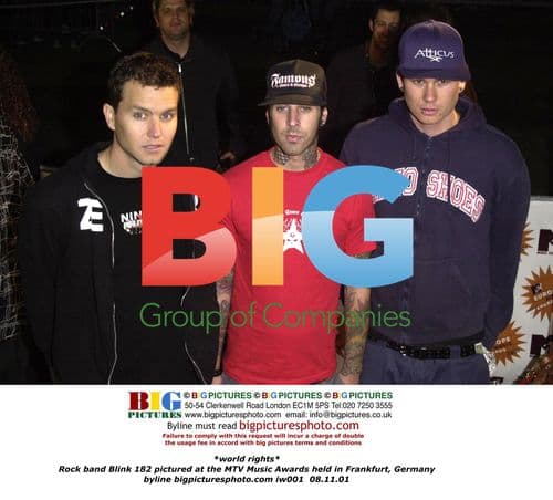 Blink 182 at 2001 MTV Music Awards