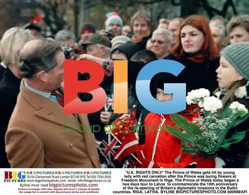 Prince of Wales Struck by Carnation in Riga
