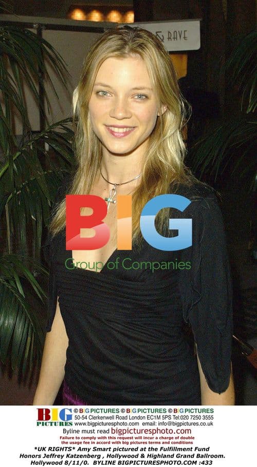 Amy Smart at Fulfillment Fund Honors