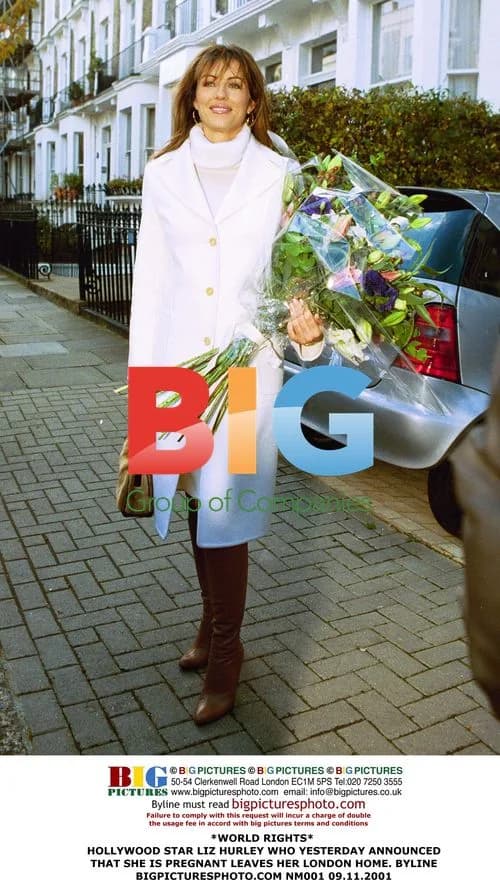 Liz Hurley Leaving Home Pregnant