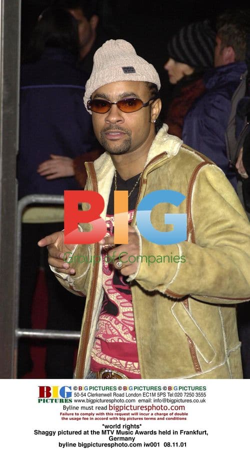 Rapper Shaggy at the 2001 MTV Music Awards