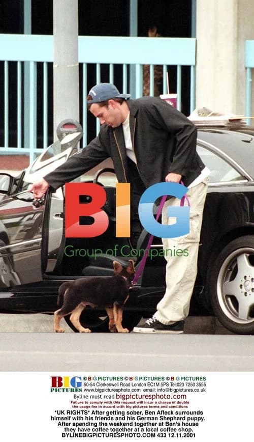 Ben Affleck Surrounded by Friends and Puppy