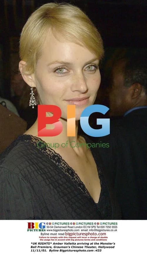 Amber Valletta at Monster's Ball Premiere
