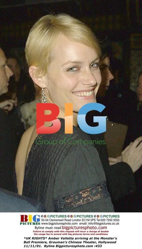 Amber Valletta at Monster's Ball Premiere