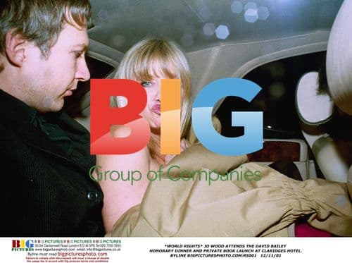 JO WOOD AT DAVID BAILEY DINNER