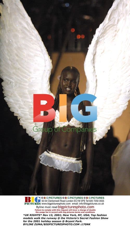 Victoria's Secret Fashion Show 2001