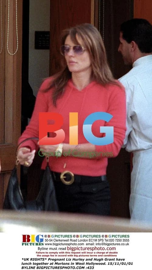 Liz Hurley and Hugh Grant Lunch in LA