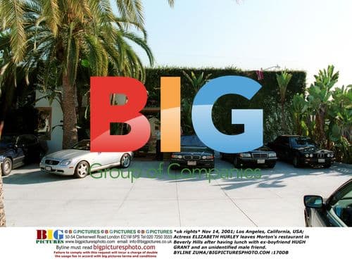 Elizabeth Hurley leaves restaurant with friends