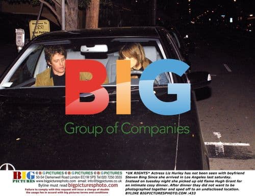 Liz Hurley and Hugh Grant Dinner Date