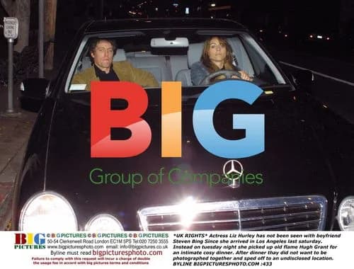 Liz Hurley and Hugh Grant cozy dinner