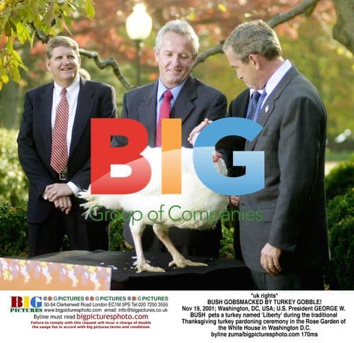 BUSH PETS TURKEY 'LIBERTY' IN PARDON