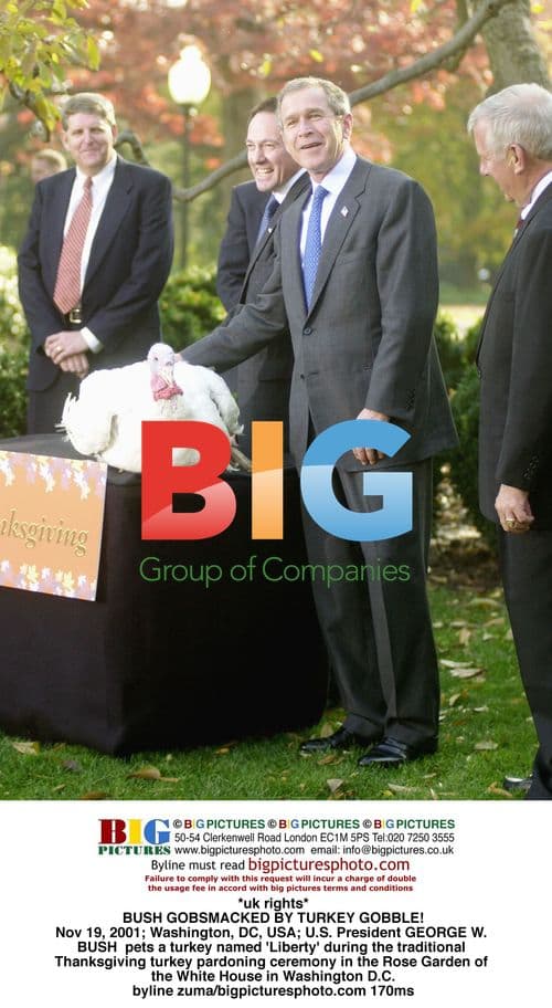 BUSH PETS THANKSGIVING TURKEY