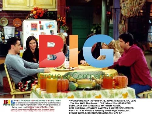 Friends episode with Brad Pitt
