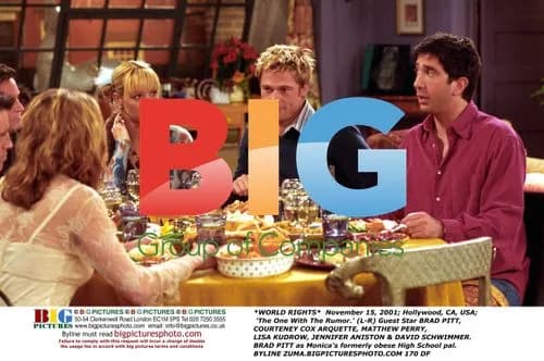 Friends Cast and Brad Pitt